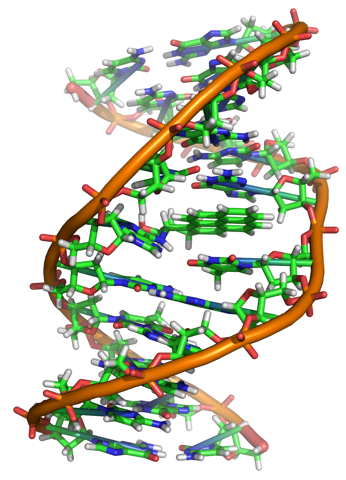 BioCode